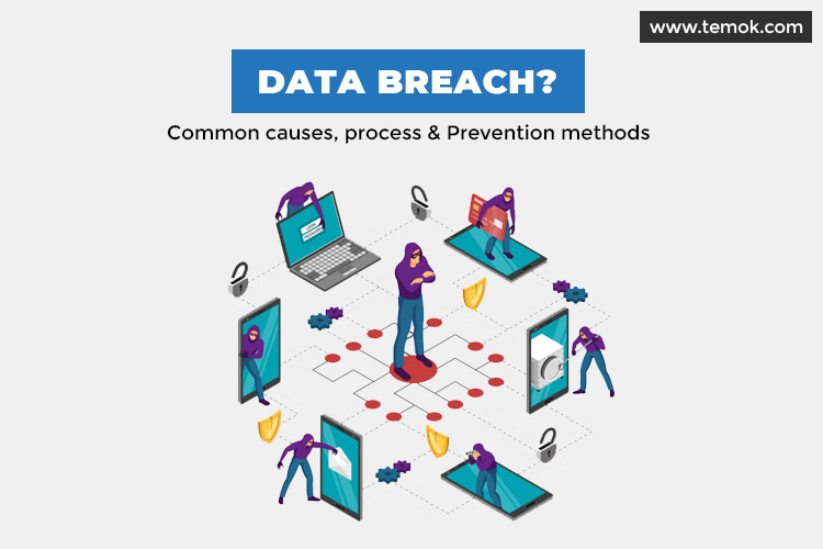 Fortress Your Data A Comprehensive Guide to Data Breach Prevention in